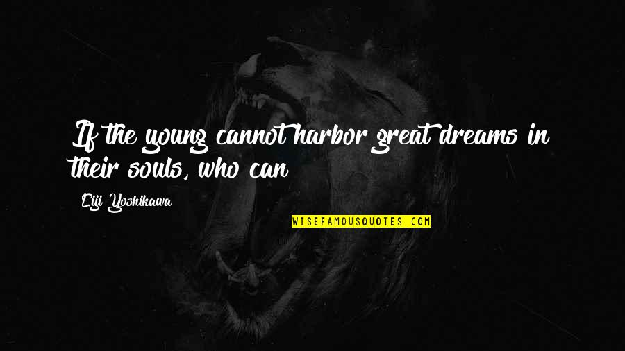 Funny Ice Breakers Quotes By Eiji Yoshikawa: If the young cannot harbor great dreams in