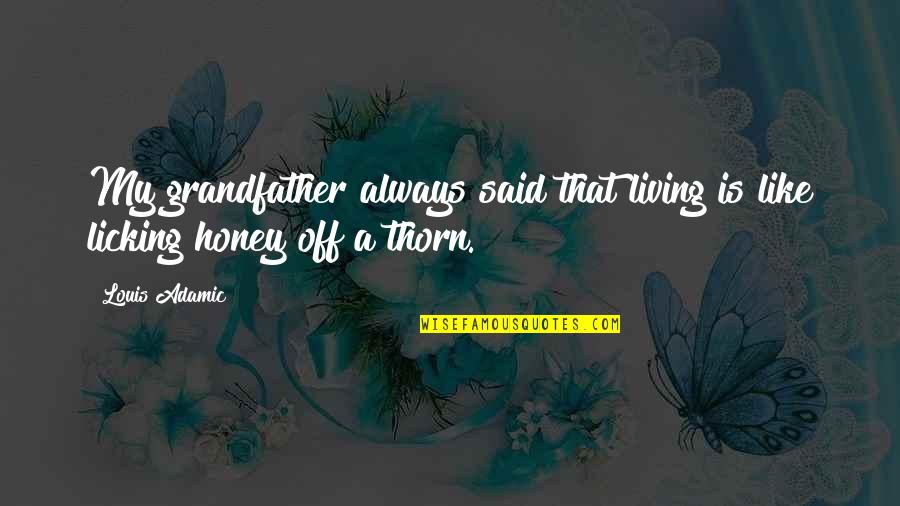 Funny Im Done Quotes By Louis Adamic: My grandfather always said that living is like