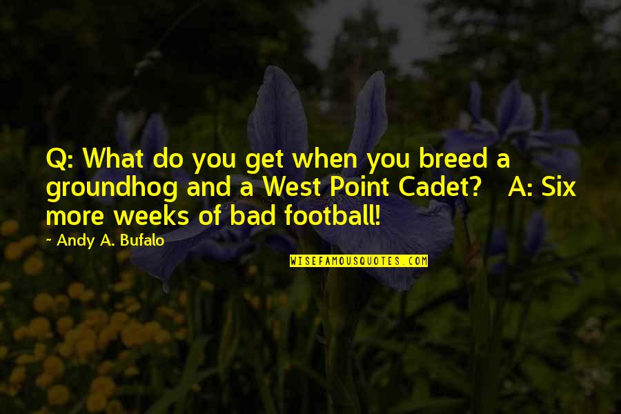 Funny I'm Sick Quotes By Andy A. Bufalo: Q: What do you get when you breed Funny I'm Sick Quotes By Andy A. Bufalo: Q: What do you get when you breed