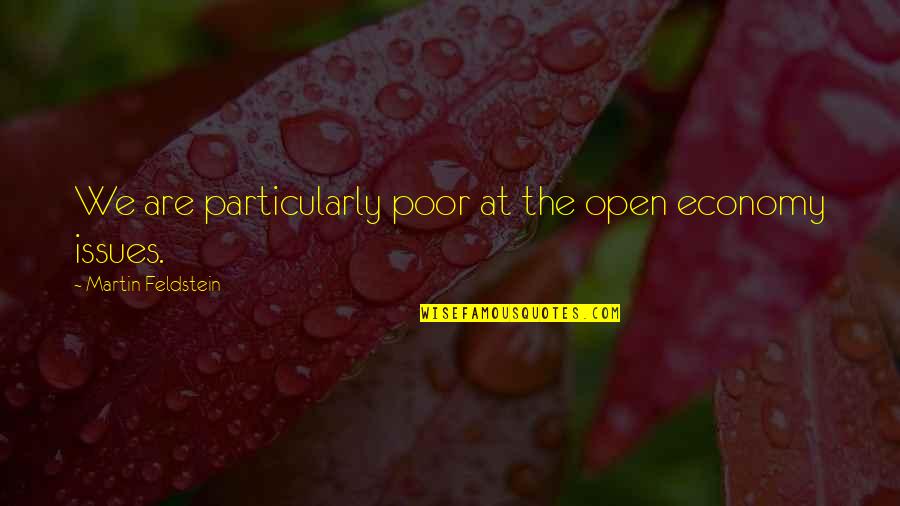 Funny Infomercial Quotes By Martin Feldstein: We are particularly poor at the open economy
