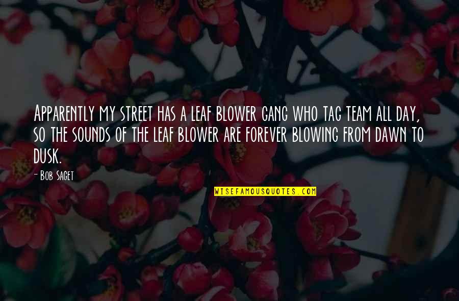 Funny Inspector Quotes By Bob Saget: Apparently my street has a leaf blower gang