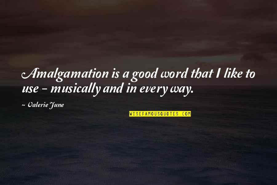 Funny Inspirational Accounting Quotes By Valerie June: Amalgamation is a good word that I like