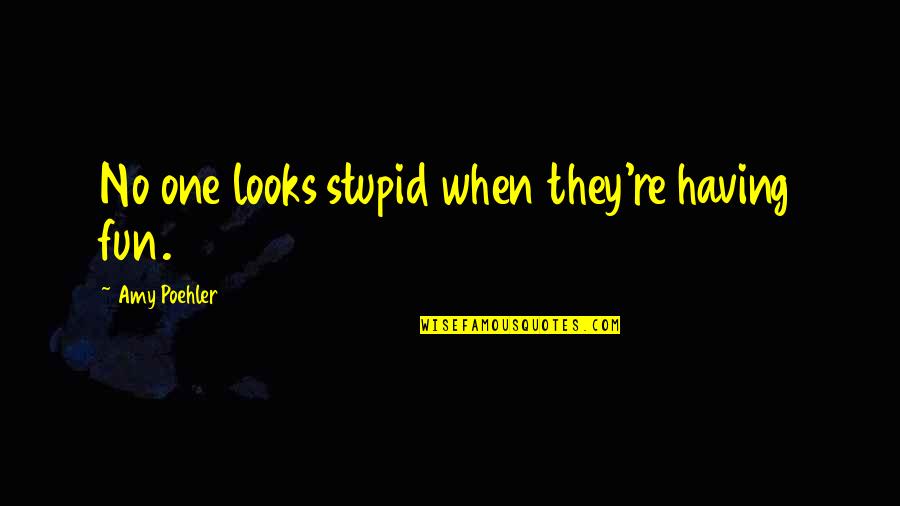 Funny Insult Love Quotes By Amy Poehler: No one looks stupid when they're having fun.