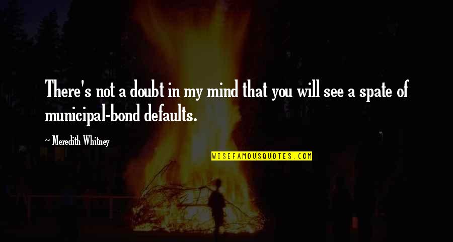 Funny Iron Bull Quotes By Meredith Whitney: There's not a doubt in my mind that