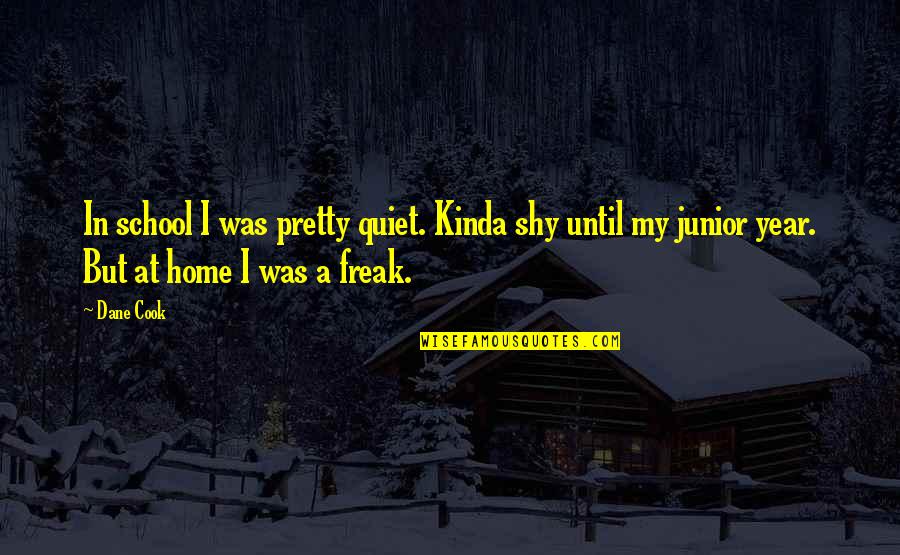 Funny It's So Hot Outside Quotes By Dane Cook: In school I was pretty quiet. Kinda shy