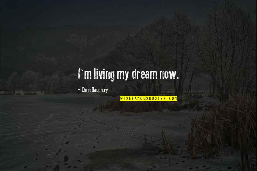 Funny J Roc Quotes By Chris Daughtry: I'm living my dream now.