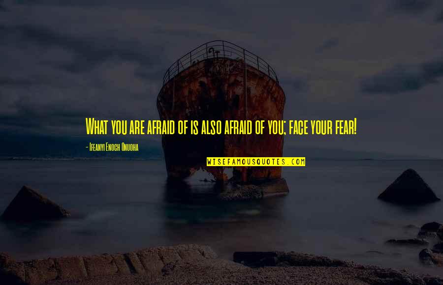 Funny Jc Caylen Quotes By Ifeanyi Enoch Onuoha: What you are afraid of is also afraid Funny Jc Caylen Quotes By Ifeanyi Enoch Onuoha: What you are afraid of is also afraid