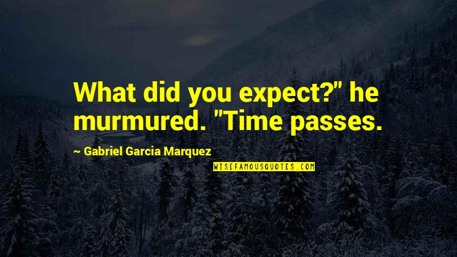 Funny Job Application Quotes By Gabriel Garcia Marquez: What did you expect?" he murmured. "Time passes.