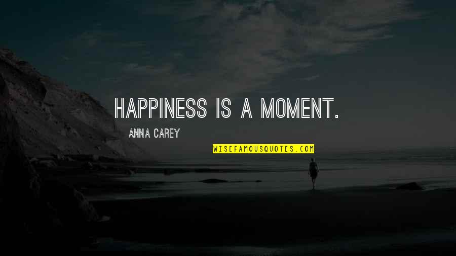 Funny Johnny Lawrence Quotes By Anna Carey: Happiness is a moment.