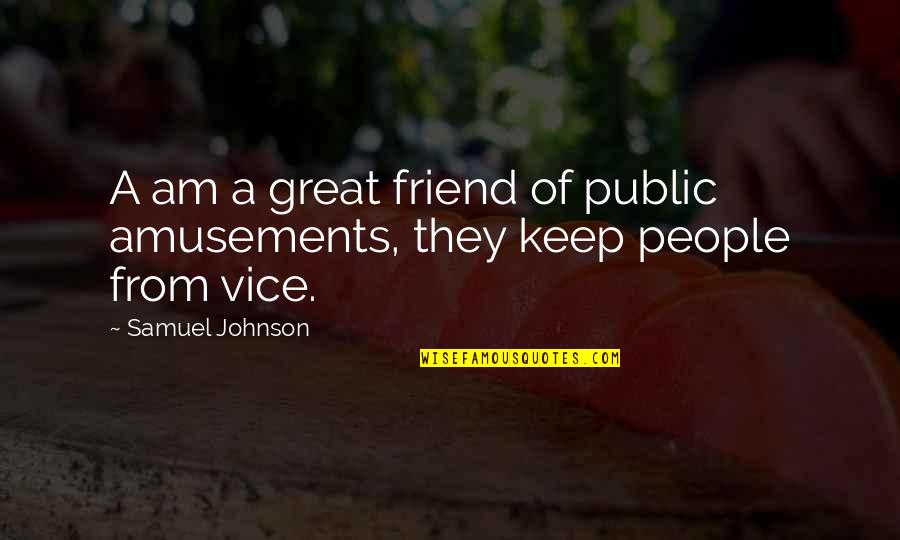 Funny Kevin Harvick Quotes By Samuel Johnson: A am a great friend of public amusements,