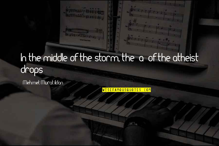 Funny Kidney Donor Quotes By Mehmet Murat Ildan: In the middle of the storm, the 'a'