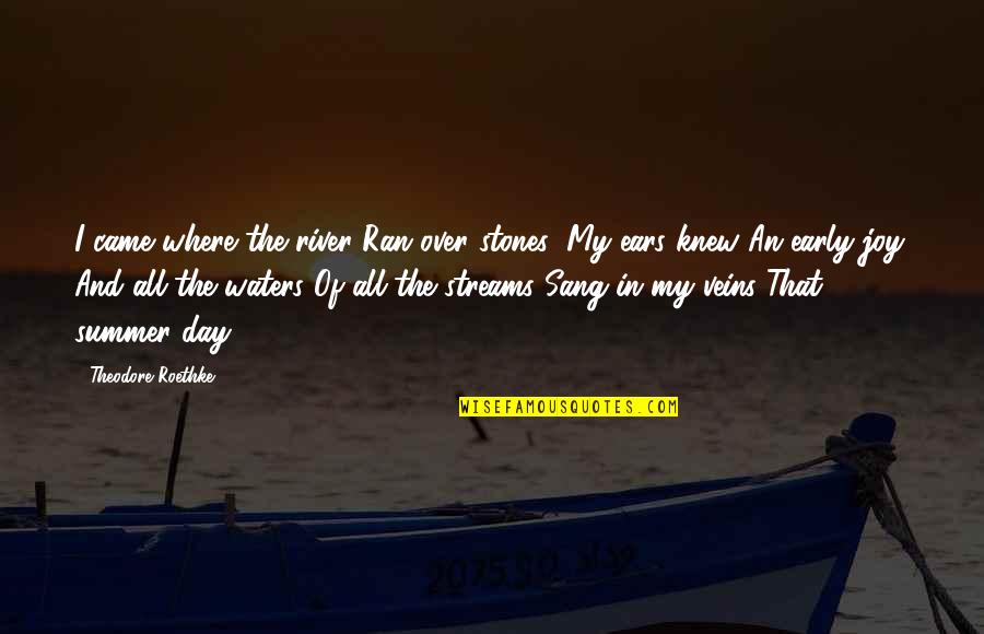 Funny Kidney Donor Quotes By Theodore Roethke: I came where the river Ran over stones;