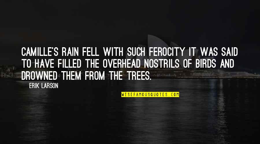 Funny Kik Quotes By Erik Larson: Camille's rain fell with such ferocity it was