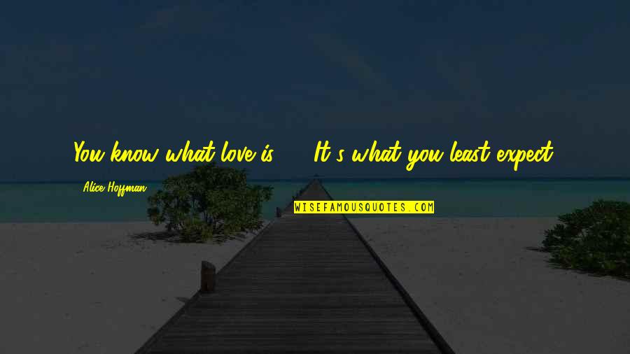 Funny Kindle Quotes By Alice Hoffman: You know what love is? ... It's what
