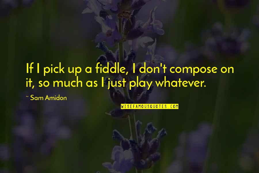 Funny Kitty Quotes By Sam Amidon: If I pick up a fiddle, I don't