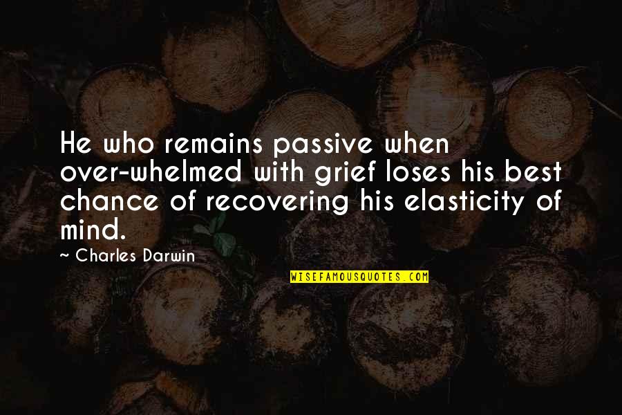 Funny Laughable Quotes By Charles Darwin: He who remains passive when over-whelmed with grief