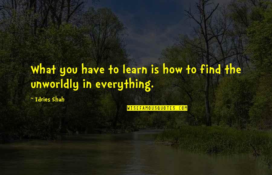 Funny Leg Cramp Quotes By Idries Shah: What you have to learn is how to