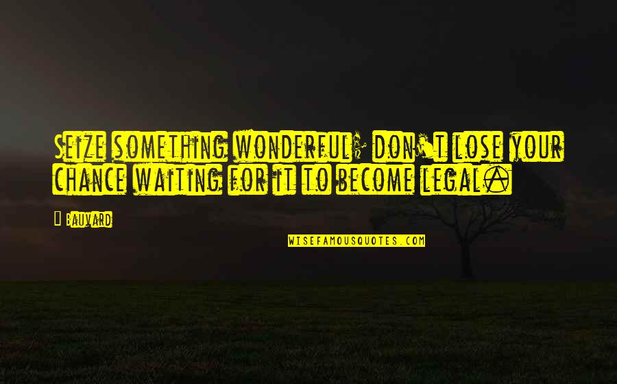 Funny Legal Quotes By Bauvard: Seize something wonderful; don't lose your chance waiting