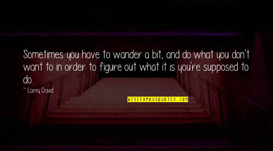 Funny Letting Go Quotes By Larry David: Sometimes you have to wander a bit, and