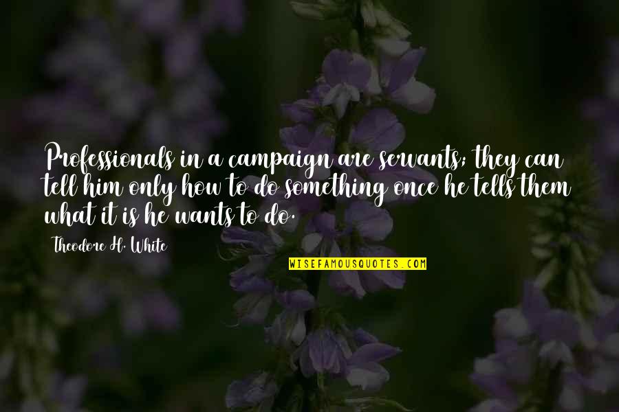 Funny Little Giants Quotes By Theodore H. White: Professionals in a campaign are servants; they can Funny Little Giants Quotes By Theodore H. White: Professionals in a campaign are servants; they can