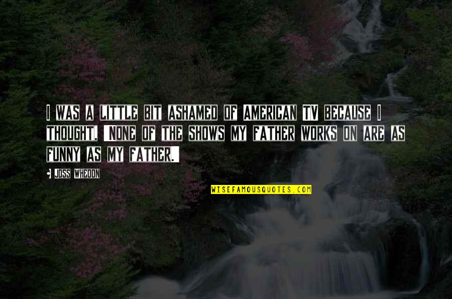 Funny Little Quotes By Joss Whedon: I was a little bit ashamed of American