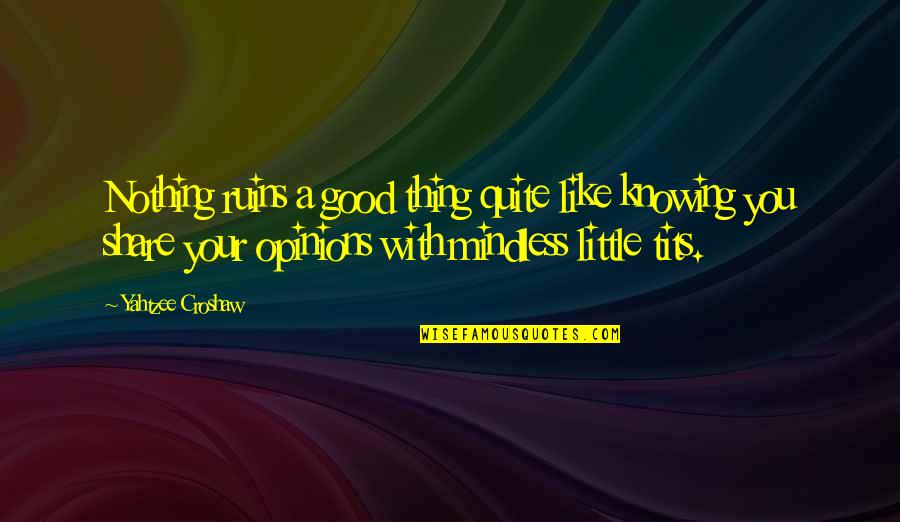 Funny Little Quotes By Yahtzee Croshaw: Nothing ruins a good thing quite like knowing