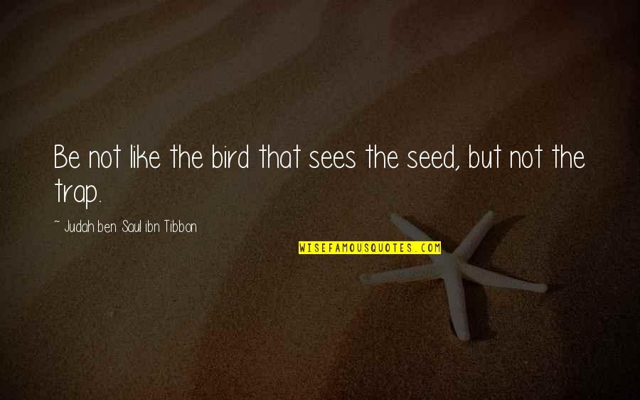 Funny Loan Quotes By Judah Ben Saul Ibn Tibbon: Be not like the bird that sees the