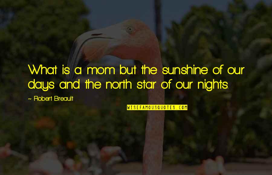 Funny Lolly Quotes By Robert Breault: What is a mom but the sunshine of