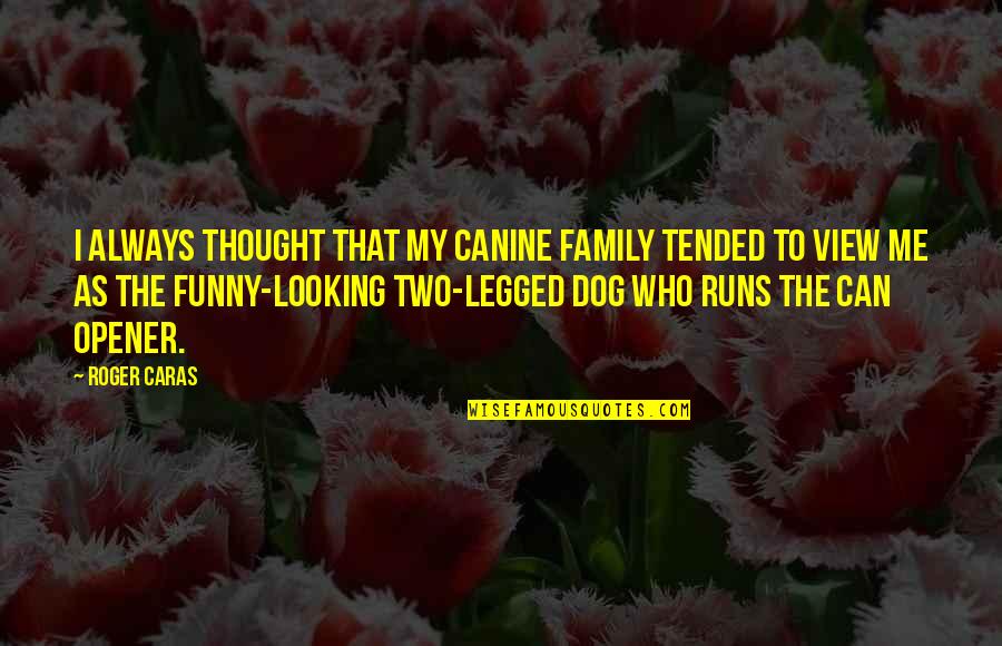 Funny Looking For Quotes By Roger Caras: I always thought that my canine family tended