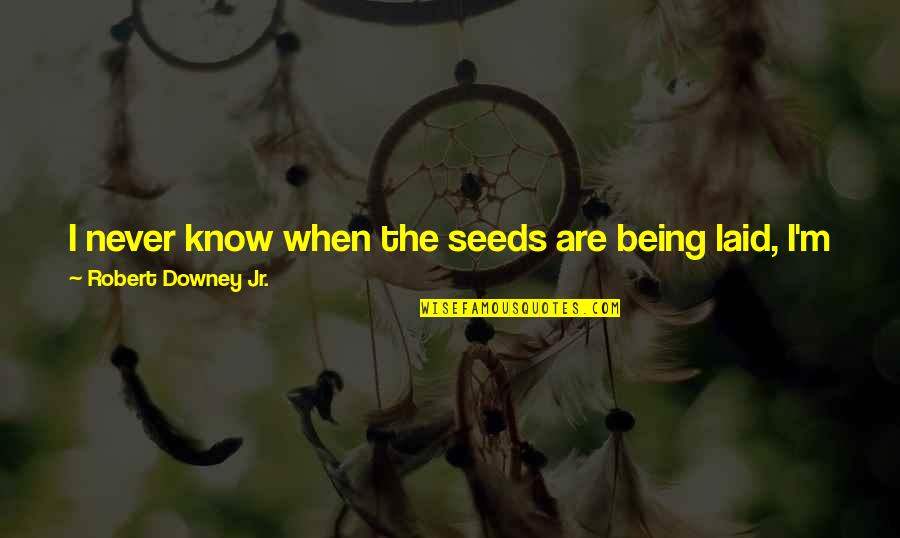 Funny Love Shayari Quotes By Robert Downey Jr.: I never know when the seeds are being Funny Love Shayari Quotes By Robert Downey Jr.: I never know when the seeds are being