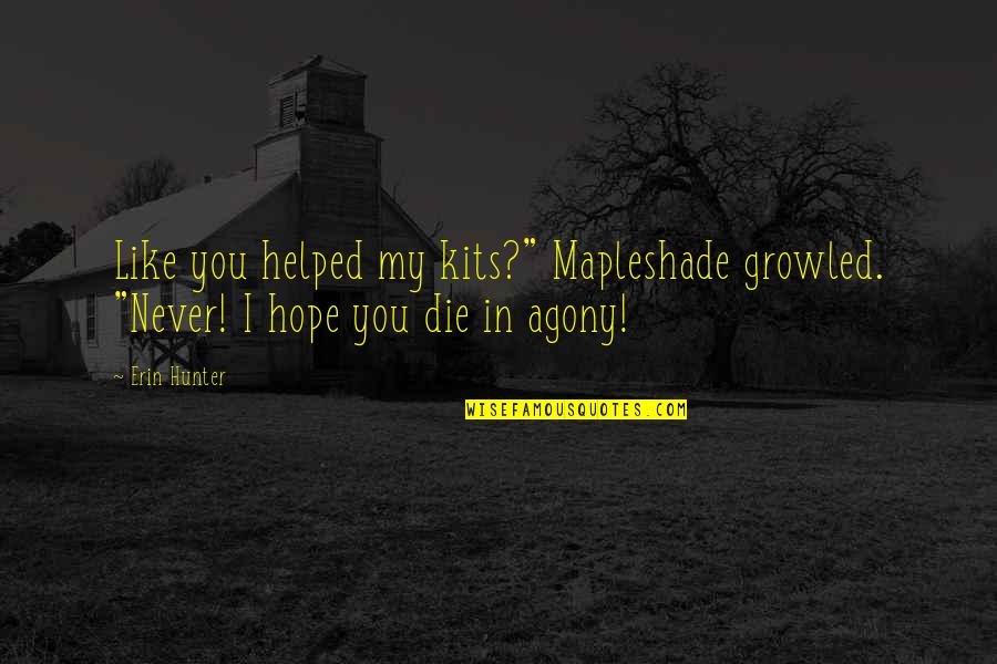 Funny Luffy Quotes By Erin Hunter: Like you helped my kits?" Mapleshade growled. "Never!