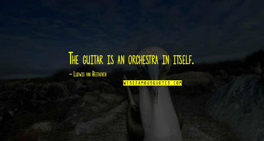 Funny Lumber Yard Quotes By Ludwig Van Beethoven: The guitar is an orchestra in itself.