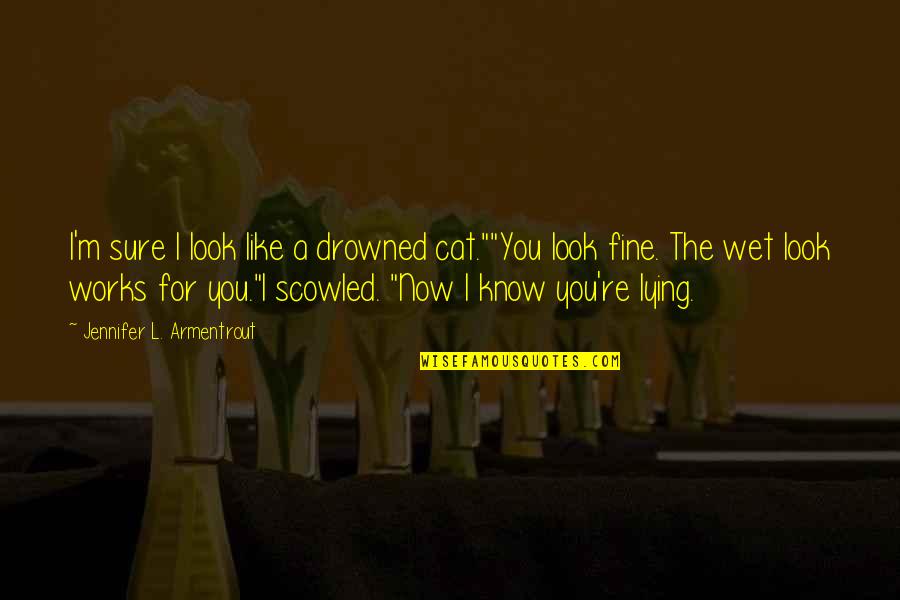 Funny Lying Quotes By Jennifer L. Armentrout: I'm sure I look like a drowned cat.""You