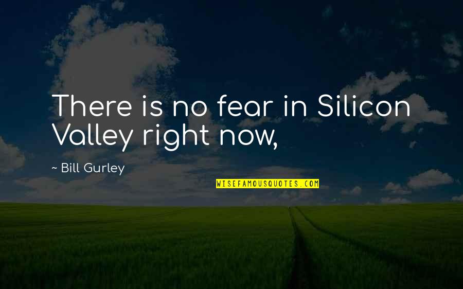 Funny Malls Quotes By Bill Gurley: There is no fear in Silicon Valley right