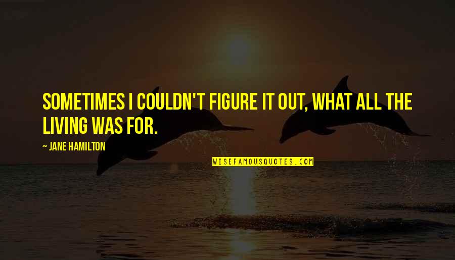 Funny Management Consultants Quotes By Jane Hamilton: Sometimes I couldn't figure it out, what all Funny Management Consultants Quotes By Jane Hamilton: Sometimes I couldn't figure it out, what all