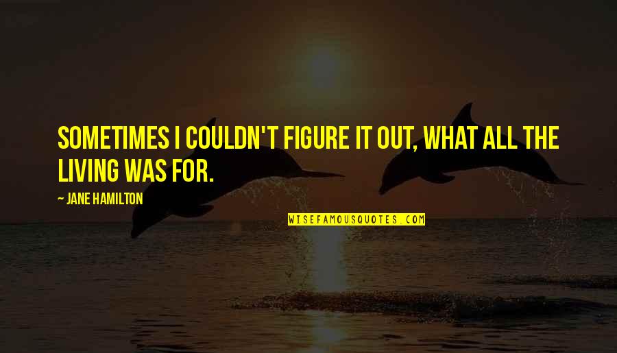 Funny Management Consultants Quotes By Jane Hamilton: Sometimes I couldn't figure it out, what all