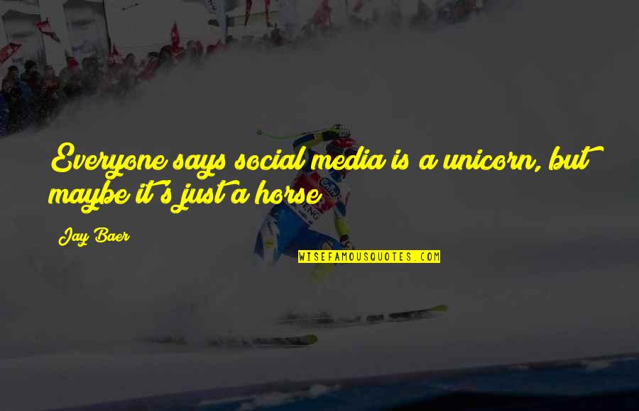 Funny Materialistic Quotes By Jay Baer: Everyone says social media is a unicorn, but