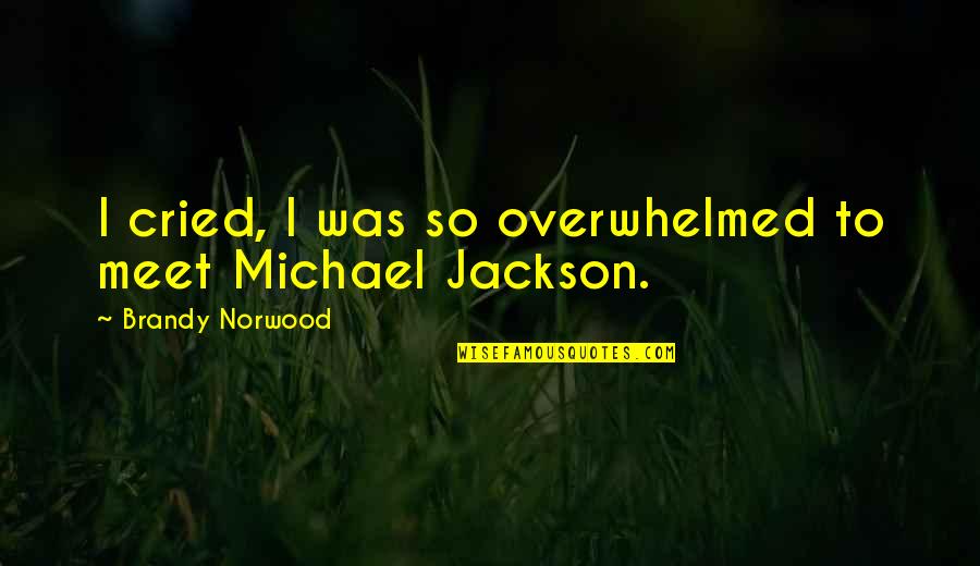 Funny Maury Povich Quotes By Brandy Norwood: I cried, I was so overwhelmed to meet Funny Maury Povich Quotes By Brandy Norwood: I cried, I was so overwhelmed to meet