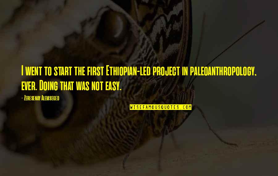 Funny Mellow Quotes By Zeresenay Alemseged: I went to start the first Ethiopian-led project