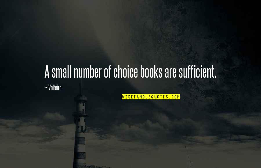 Funny Mice Quotes By Voltaire: A small number of choice books are sufficient.