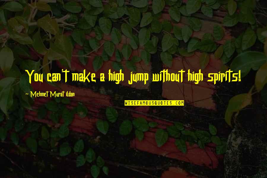 Funny Milkman Quotes By Mehmet Murat Ildan: You can't make a high jump without high