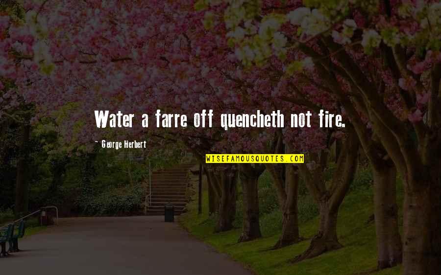 Funny Mind Boggling Quotes By George Herbert: Water a farre off quencheth not fire.