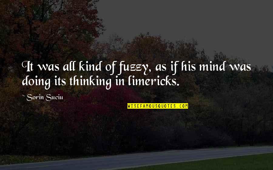 Funny Mind Quotes By Sorin Suciu: It was all kind of fuzzy, as if