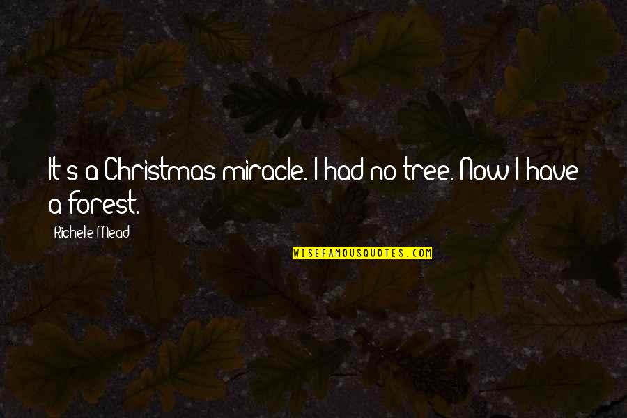 Funny Miracle Quotes By Richelle Mead: It's a Christmas miracle. I had no tree. Funny Miracle Quotes By Richelle Mead: It's a Christmas miracle. I had no tree.