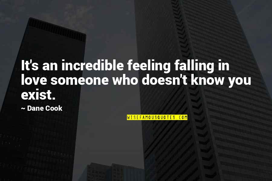 Funny Moomin Quotes By Dane Cook: It's an incredible feeling falling in love someone
