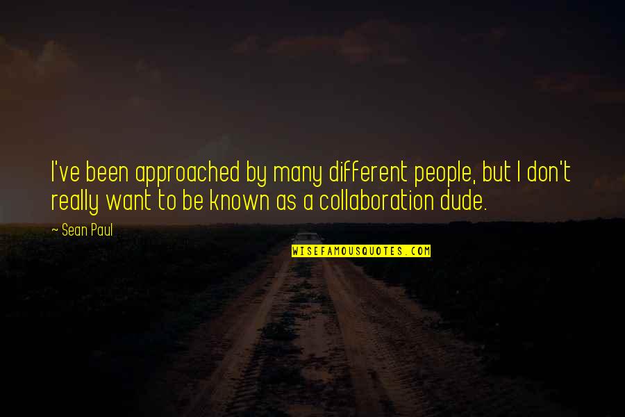 Funny Mother Of The Bride Quotes By Sean Paul: I've been approached by many different people, but