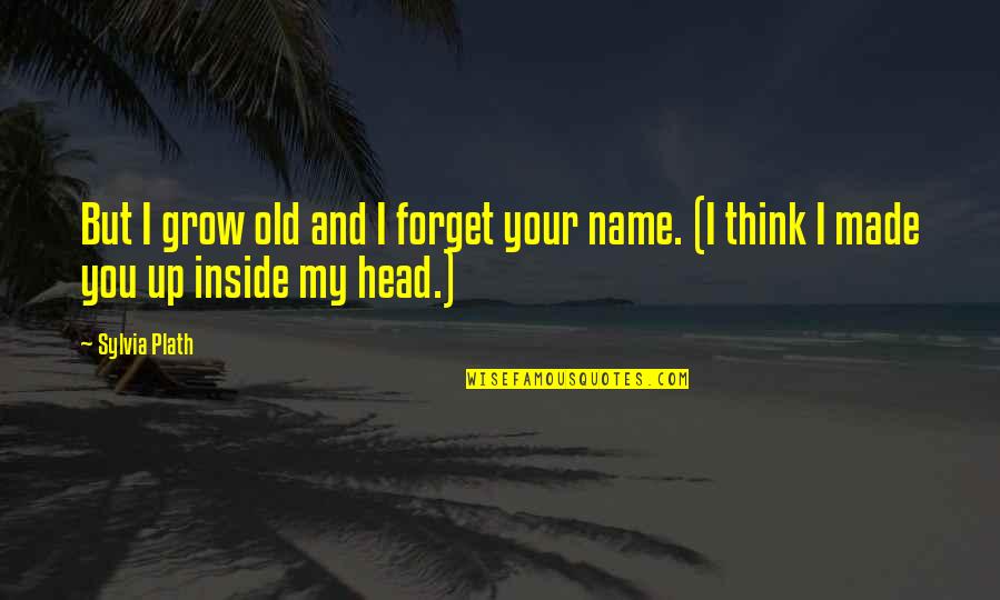 Funny Mutt Quotes By Sylvia Plath: But I grow old and I forget your