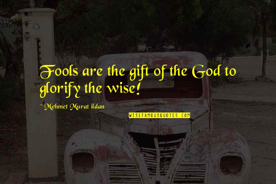 Funny New Age Quotes By Mehmet Murat Ildan: Fools are the gift of the God to