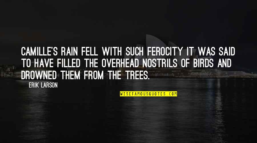 Funny Non Denominational Holiday Quotes By Erik Larson: Camille's rain fell with such ferocity it was