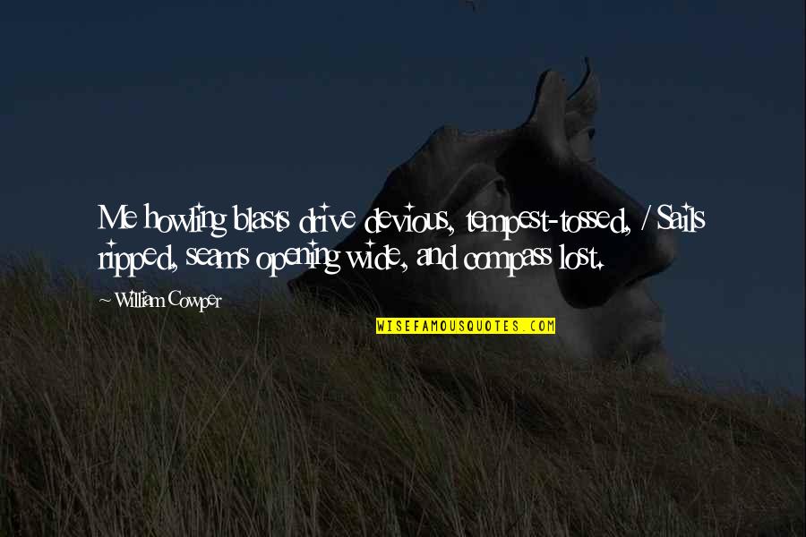 Funny Nosy Quotes By William Cowper: Me howling blasts drive devious, tempest-tossed, / Sails